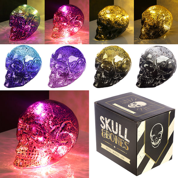 Decorative LED Light - Small Two Tone Metallic Skull SK271-0